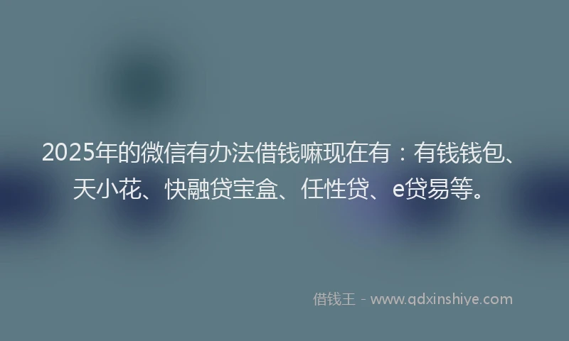 2025年的微信有办法借钱嘛现在有：有钱钱包、天小花、快融贷宝盒、任性贷、e贷易等。