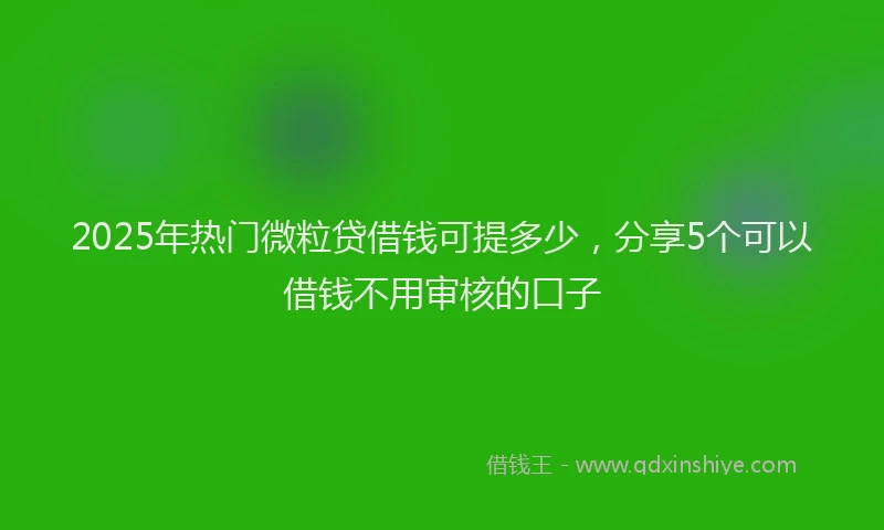 2025年热门微粒贷借钱可提多少，分享5个可以借钱不用审核的口子