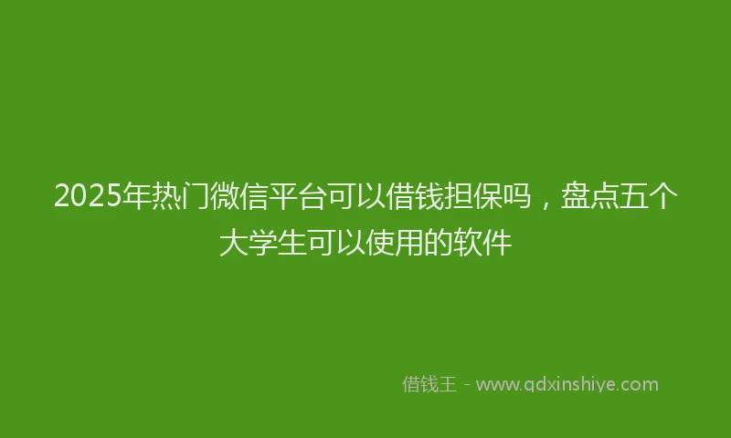 2025年热门微信平台可以借钱担保吗，盘点五个大学生可以使用的软件
