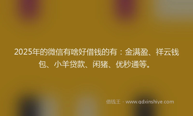 2025年的微信有啥好借钱的有：金满盈、祥云钱包、小羊贷款、闲猪、优秒通等。