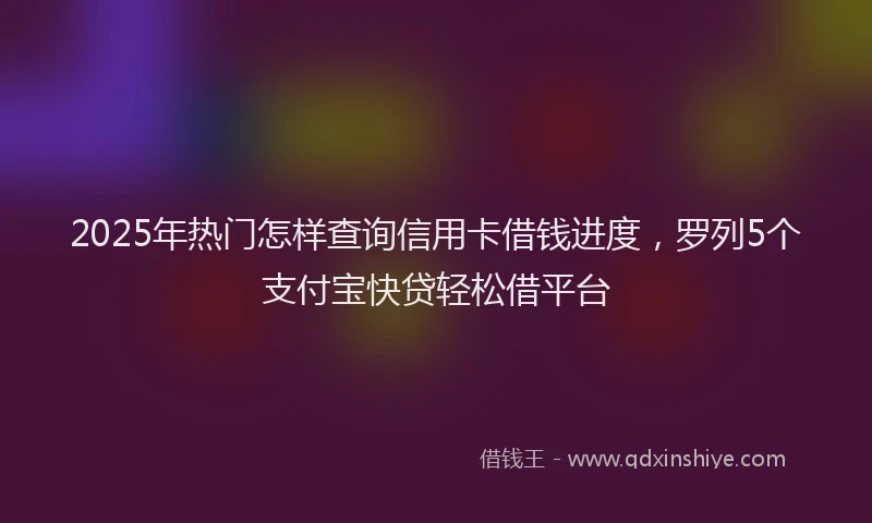 2025年热门怎样查询信用卡借钱进度，罗列5个支付宝快贷轻松借平台