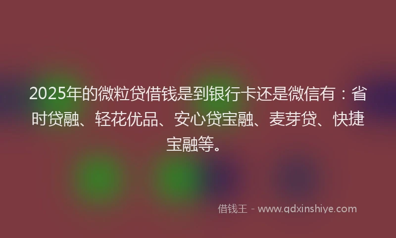 2025年的微粒贷借钱是到银行卡还是微信有：省时贷融、轻花优品、安心贷宝融、麦芽贷、快捷宝融等。