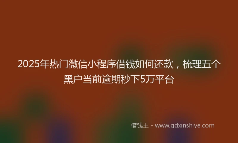 2025年热门微信小程序借钱如何还款，梳理五个黑户当前逾期秒下5万平台