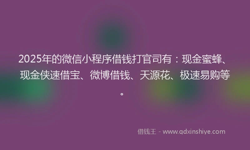 2025年的微信小程序借钱打官司有：现金蜜蜂、现金侠速借宝、微博借钱、天源花、极速易购等。