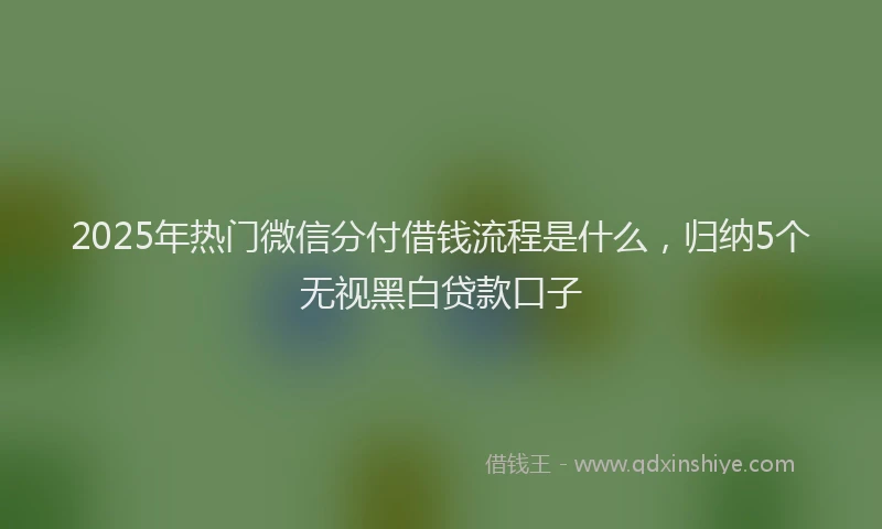 2025年热门微信分付借钱流程是什么，归纳5个无视黑白贷款口子
