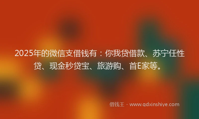 2025年的微信支借钱有：你我贷借款、苏宁任性贷、现金秒贷宝、旅游购、首E家等。