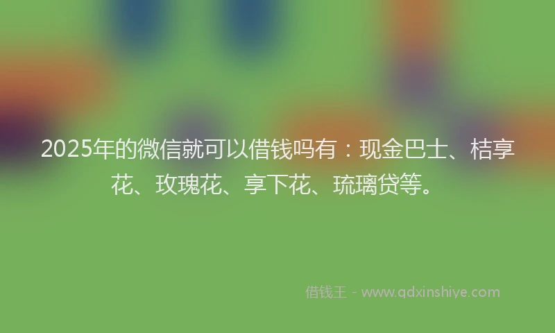 2025年的微信就可以借钱吗有：现金巴士、桔享花、玫瑰花、享下花、琉璃贷等。