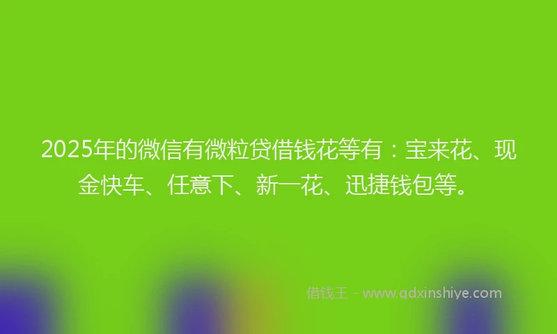2025年的微信有微粒贷借钱花等有：宝来花、现金快车、任意下、新一花、迅捷钱包等。
