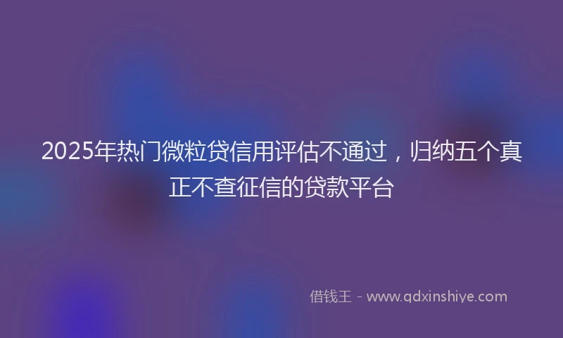 2025年热门微粒贷信用评估不通过，归纳五个真正不查征信的贷款平台