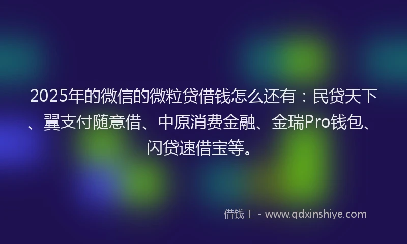 2025年的微信的微粒贷借钱怎么还有：民贷天下、翼支付随意借、中原消费金融、金瑞Pro钱包、闪贷速借宝等。
