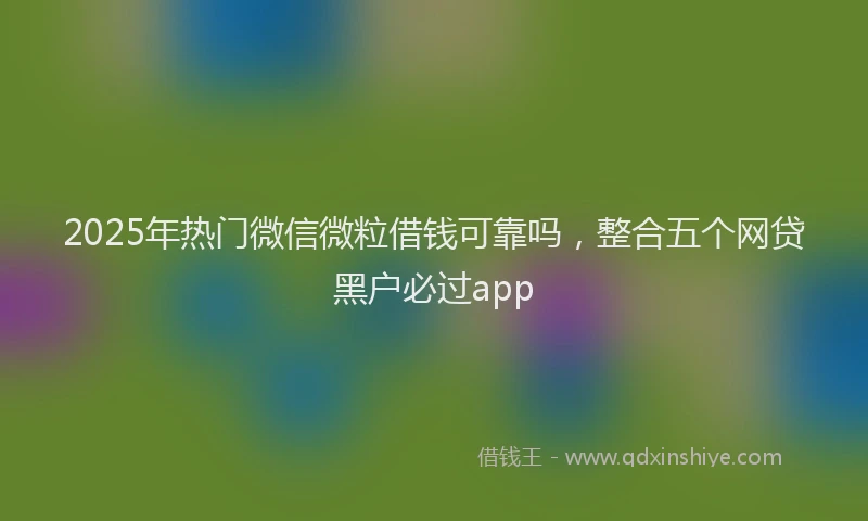 2025年热门微信微粒借钱可靠吗，整合五个网贷黑户必过app