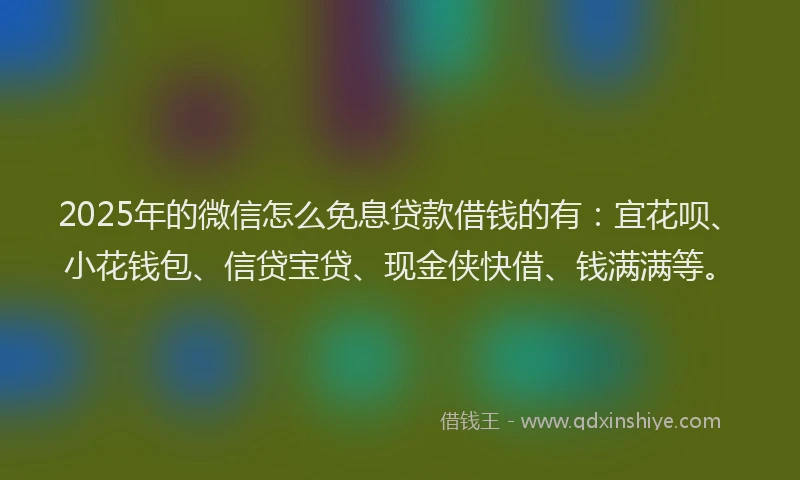 2025年的微信怎么免息贷款借钱的有：宜花呗、小花钱包、信贷宝贷、现金侠快借、钱满满等。