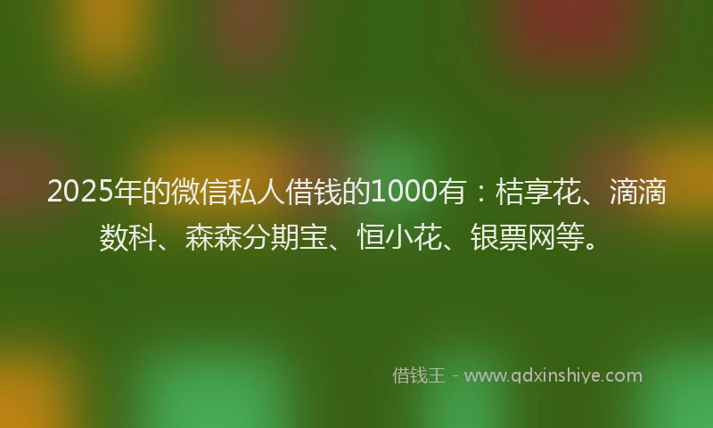 2025年的微信私人借钱的1000有:桔享花、滴滴数科、森森分期宝、恒小花、银票网等。