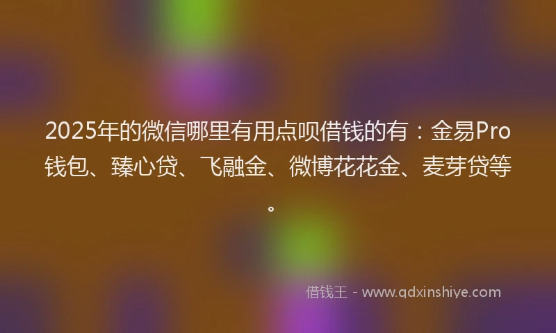 2025年的微信哪里有用点呗借钱的有：金易Pro钱包、臻心贷、飞融金、微博花花金、麦芽贷等。