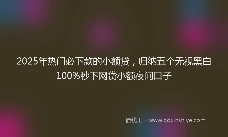 2025年热门必下款的小额贷，归纳五个无视黑白100%秒下网贷小额夜间口子