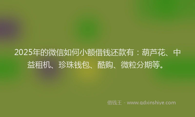 2025年的微信如何小额借钱还款有：葫芦花、中益租机、珍珠钱包、酷购、微粒分期等。
