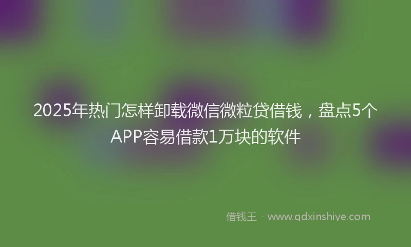 2025年热门怎样卸载微信微粒贷借钱，盘点5个APP容易借款1万块的软件