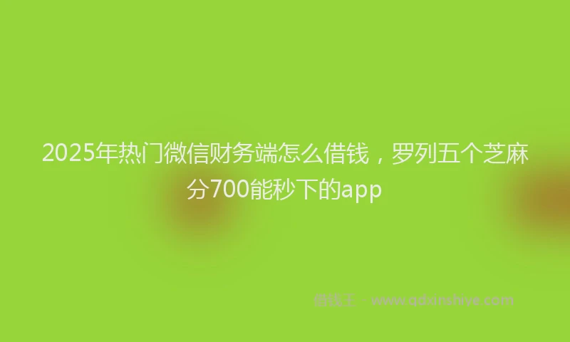 2025年热门微信财务端怎么借钱，罗列五个芝麻分700能秒下的app