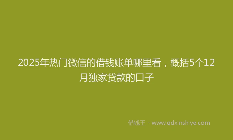 2025年热门微信的借钱账单哪里看，概括5个12月独家贷款的口子