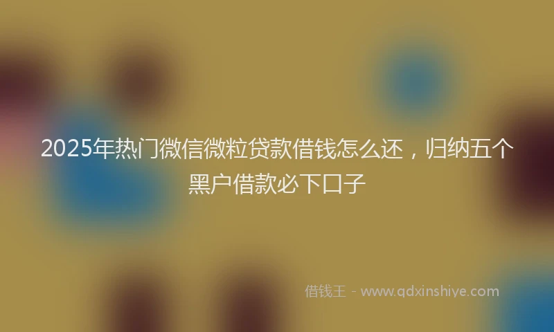2025年热门微信微粒贷款借钱怎么还，归纳五个黑户借款必下口子