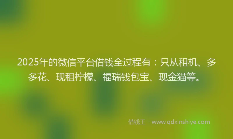 2025年的微信平台借钱全过程有：只从租机、多多花、现租柠檬、福瑞钱包宝、现金猫等。