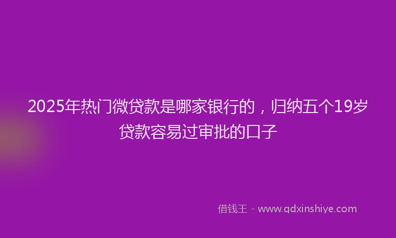 2025年热门微贷款是哪家银行的，归纳五个19岁贷款容易过审批的口子