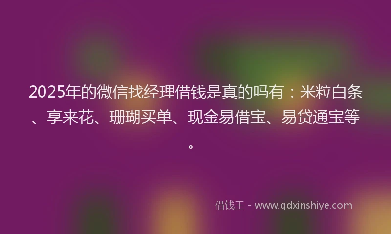 2025年的微信找经理借钱是真的吗有:米粒白条、享来花、珊瑚买单、现金易借宝、易贷通宝等。