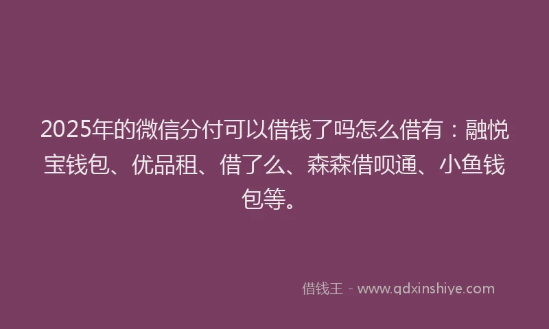 2025年的微信分付可以借钱了吗怎么借有：融悦宝钱包、优品租、借了么、森森借呗通、小鱼钱包等。
