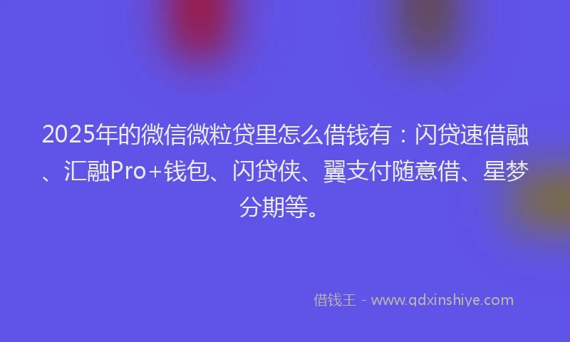 2025年的微信微粒贷里怎么借钱有：闪贷速借融、汇融Pro+钱包、闪贷侠、翼支付随意借、星梦分期等。