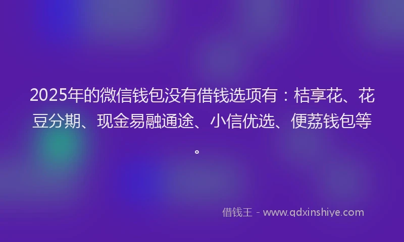 2025年的微信钱包没有借钱选项有：桔享花、花豆分期、现金易融通途、小信优选、便荔钱包等。