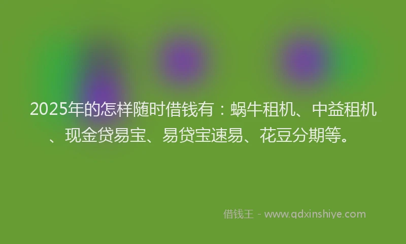 2025年的怎样随时借钱有：蜗牛租机、中益租机、现金贷易宝、易贷宝速易、花豆分期等。