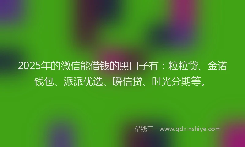 2025年的微信能借钱的黑口子有：粒粒贷、金诺钱包、派派优选、瞬信贷、时光分期等。