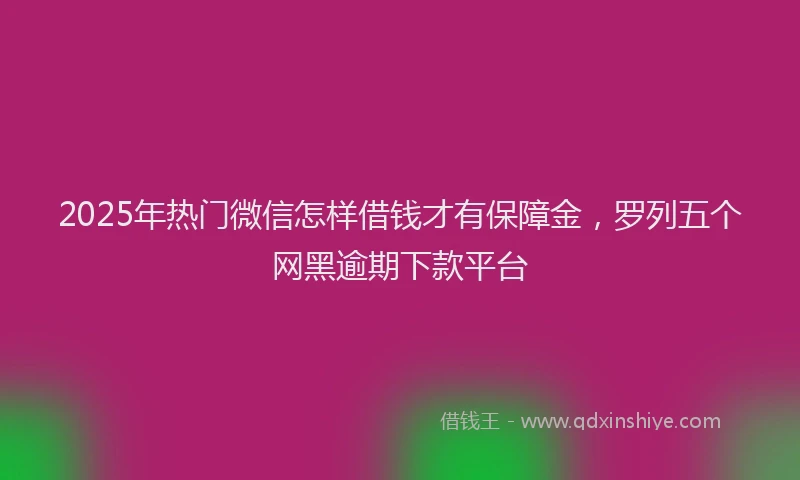 2025年热门微信怎样借钱才有保障金，罗列五个网黑逾期下款平台