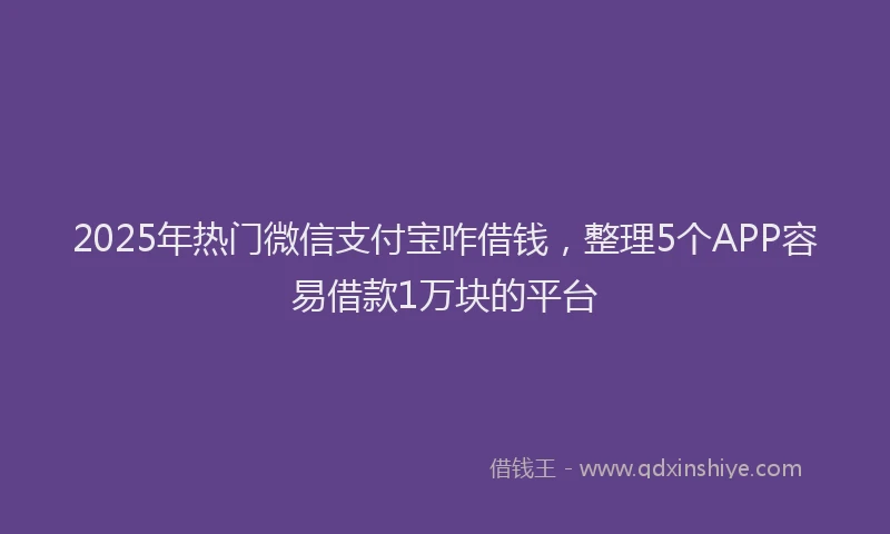 2025年热门微信支付宝咋借钱，整理5个APP容易借款1万块的平台