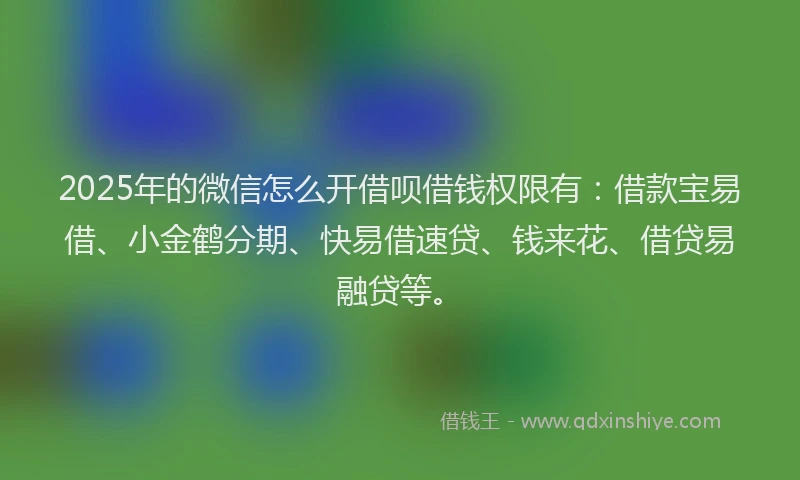 2025年的微信怎么开借呗借钱权限有：借款宝易借、小金鹤分期、快易借速贷、钱来花、借贷易融贷等。