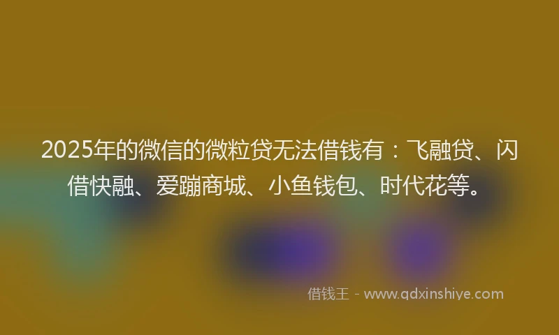 2025年的微信的微粒贷无法借钱有：飞融贷、闪借快融、爱蹦商城、小鱼钱包、时代花等。