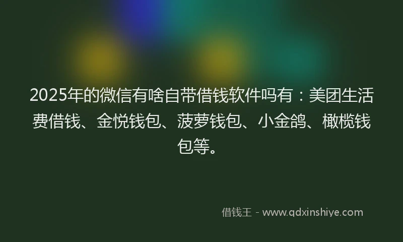 2025年的微信有啥自带借钱软件吗有：美团生活费借钱、金悦钱包、菠萝钱包、小金鸽、橄榄钱包等。
