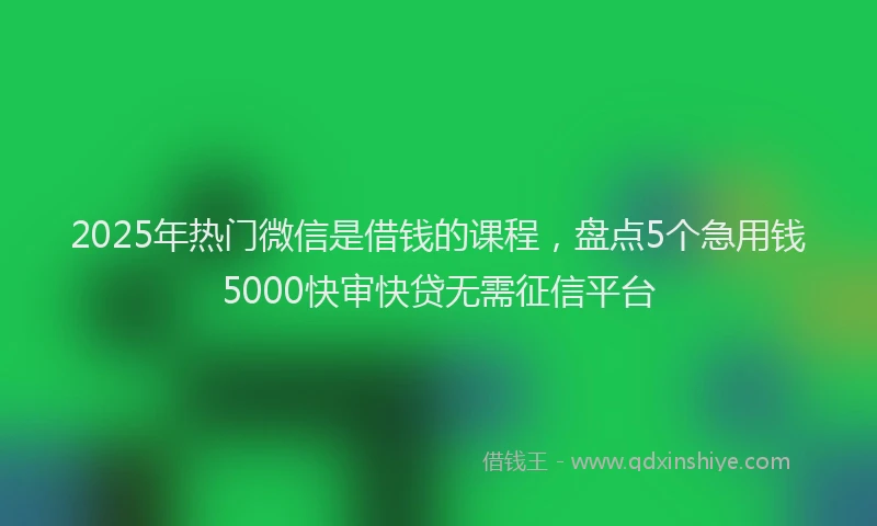 2025年热门微信是借钱的课程，盘点5个急用钱5000快审快贷无需征信平台