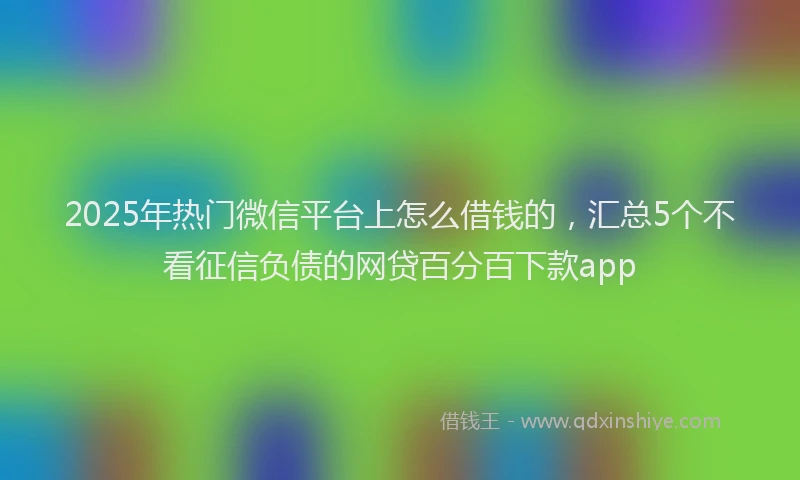 2025年热门微信平台上怎么借钱的，汇总5个不看征信负债的网贷百分百下款app