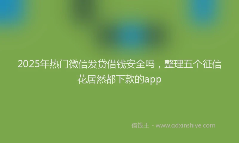 2025年热门微信发贷借钱安全吗，整理五个征信花居然都下款的app