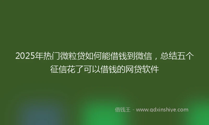 2025年热门微粒贷如何能借钱到微信，总结五个征信花了可以借钱的网贷软件