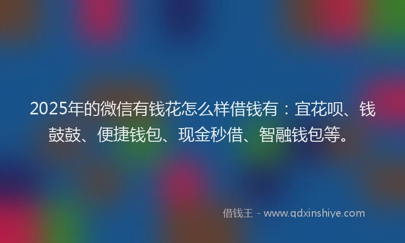 2025年的微信有钱花怎么样借钱有：宜花呗、钱鼓鼓、便捷钱包、现金秒借、智融钱包等。