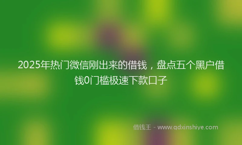 2025年热门微信刚出来的借钱，盘点五个黑户借钱0门槛极速下款口子