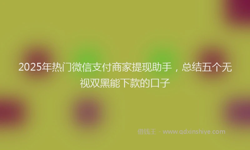 2025年热门微信支付商家提现助手,总结五个无视双黑能下款的口子
