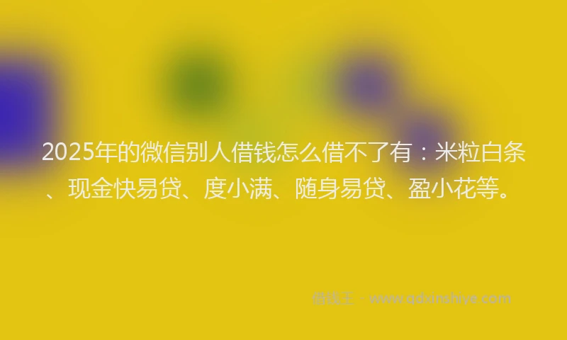 2025年的微信别人借钱怎么借不了有：米粒白条、现金快易贷、度小满、随身易贷、盈小花等。