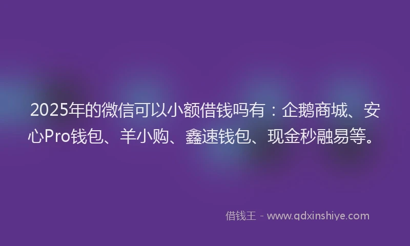 2025年的微信可以小额借钱吗有：企鹅商城、安心Pro钱包、羊小购、鑫速钱包、现金秒融易等。