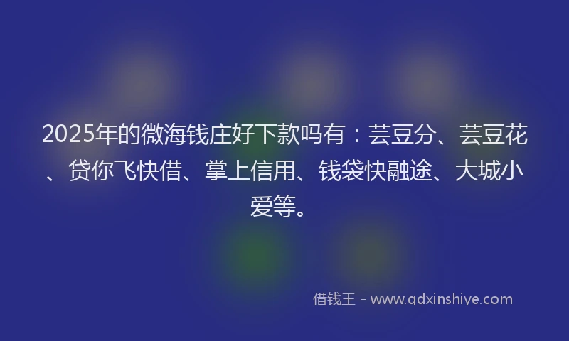 2025年的微海钱庄好下款吗有：芸豆分、芸豆花、贷你飞快借、掌上信用、钱袋快融途、大城小爱等。