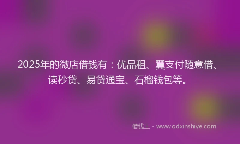 2025年的微店借钱有：优品租、翼支付随意借、读秒贷、易贷通宝、石榴钱包等。