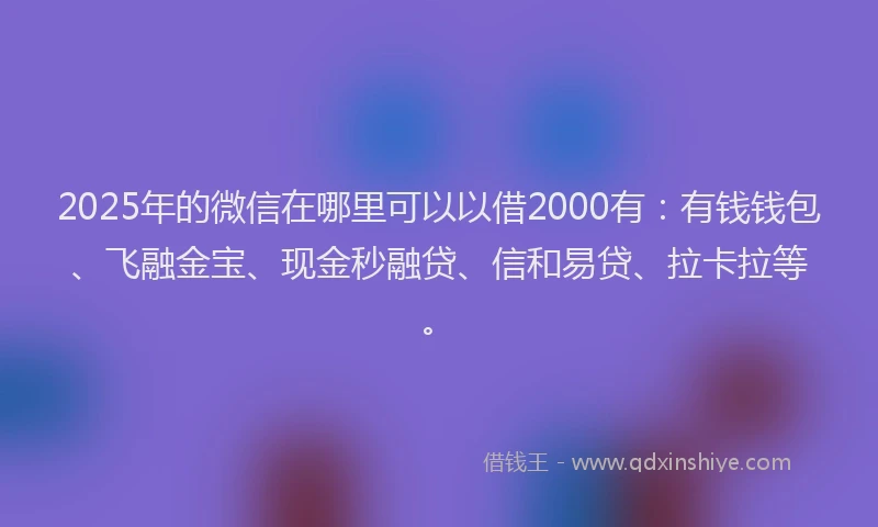 2025年的微信在哪里可以以借2000有：有钱钱包、飞融金宝、现金秒融贷、信和易贷、拉卡拉等。
