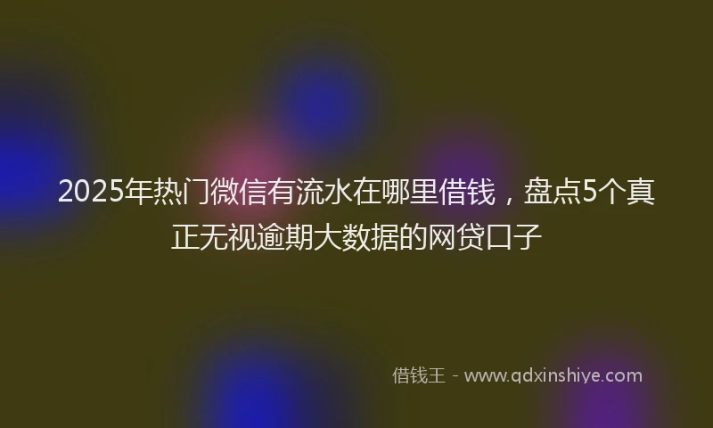 2025年热门微信有流水在哪里借钱，盘点5个真正无视逾期大数据的网贷口子
